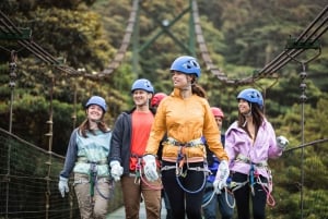 Sky Trek Ziplines: Thrilling 1.9-Mile Cloud Forest Adventure