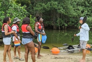 Punta Uva: Sloth and Wildlife Kayaking Tour