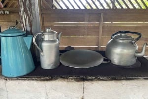 Faultier-Expedition und Kaffee- und Schokoladentour