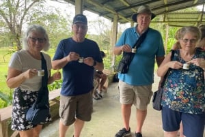 Faultier-Expedition und Kaffee- und Schokoladentour