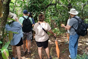 La Fortuna : Observation des paresseux et promenade dans la nature
