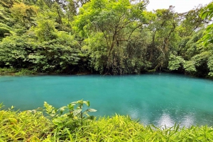 Excursión a la pereza y caminata por la selva tropical para ver la Cascada Río Celeste