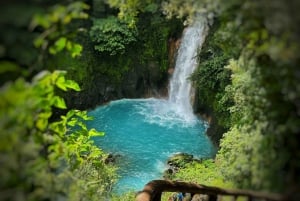 Sloth Tour e caminhada na floresta tropical para ver a cachoeira do Rio Celeste