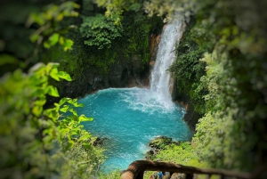 Visite des paresseux et randonnée dans la forêt tropicale pour voir la cascade de Rio Celeste