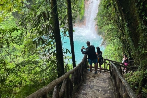 Sloth Tour og vandretur i regnskoven for at se Rio Celeste-vandfaldet