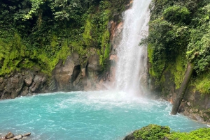 Sloth Tour och vandring i regnskogen för att se Rio Celeste Waterfall