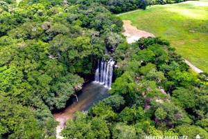 Sengångare och choklad i Bijagua regnskog med lunch
