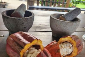 Sengångare och choklad i Bijagua regnskog med lunch