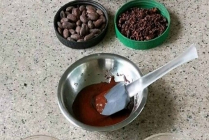 Sengångare och choklad i Bijagua regnskog med lunch