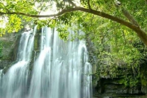 Sengångare och choklad i Bijagua regnskog med lunch
