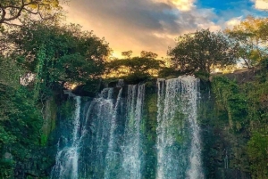 Sengångare och choklad i Bijagua regnskog med lunch