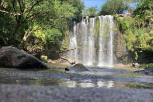 Sengångare och choklad i Bijagua regnskog med lunch