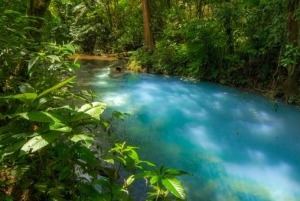 Small-Group Blue River & Tenorio Volcano National Park Hike