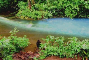 Small-Group Blue River & Tenorio Volcano National Park Hike