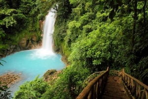 Vandretur i en lille gruppe i Blue River og Tenorio Volcano National Park