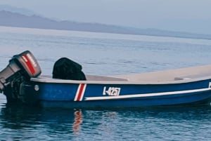 SNORKEL MANZANILLO（スノーケル・マンサニロ） - フレッシュフルーツとココナッツで2時間