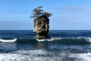 SNORKEL MANZANILLO - 2 ore con frutta fresca + noci di cocco