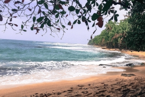 SNORKEL MANZANILLO - 2 ore con frutta fresca + noci di cocco