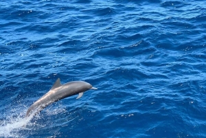 シュノーケリングとレクリエーションフィッシング、コンチャルビーチ