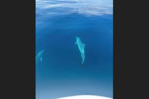 シュノーケリングとレクリエーションフィッシング、コンチャルビーチ