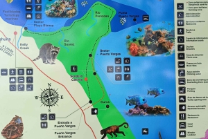 Snorkling + guidet vandretur i Cahuita National Park