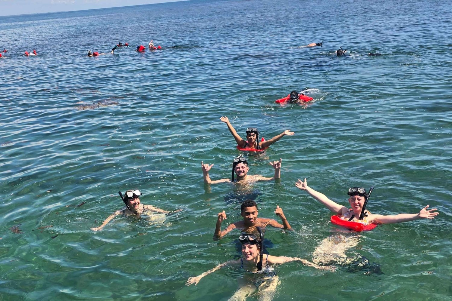 Snorkeling em Cahuita: explora os recifes de coral com um guia local