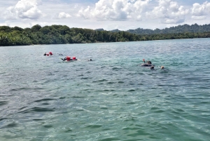 Snorkeling em Cahuita: explora os recifes de coral com um guia local