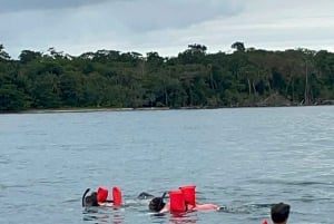 Snorkling i Cahuita nationalpark
