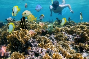 Guided Snorkeling Tour Near Jaco Beach - White Sand Beach.