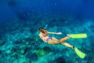 Playa Mantas : Visite guidée matinale de plongée avec tuba près de la plage de Jaco