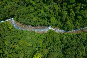 Spa or Jaguar Luxury Rainforest Experiences with Lunch