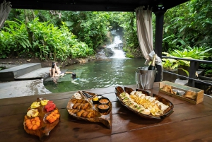 Spa or Jaguar Luxury Rainforest Experiences with Lunch