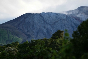Spa or Jaguar Luxury Rainforest Experiences with Lunch