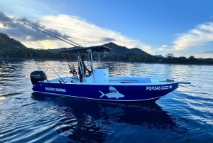 Sportfishing, snorkeling and sunset tour inshore 4 hours