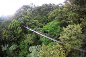 Suspension Bridges, Fortuna Waterfall, and Typical Lunch