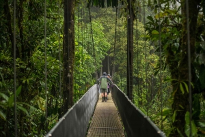 Suspension Bridges, Fortuna Waterfall, and Typical Lunch