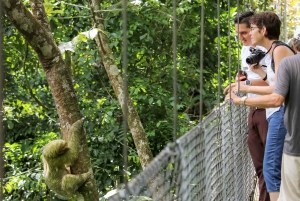Suspension Bridges, Fortuna Waterfall, and Typical Lunch