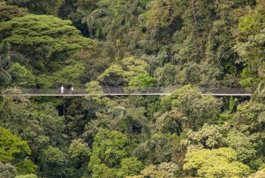 Suspension Bridges, Fortuna Waterfall, and Typical Lunch
