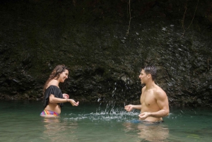 Suspension Bridges, Fortuna Waterfall, and Typical Lunch