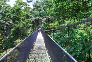 Suspension Bridges, Fortuna Waterfall, and Typical Lunch