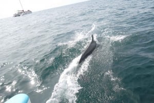 Tamarindo: Segeltour am Nachmittag mit Mahlzeit und Schnorcheln