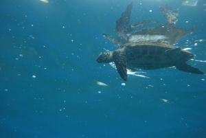 Tamarindo: Passeio de Veleiro à Tarde com Refeição e Snorkeling