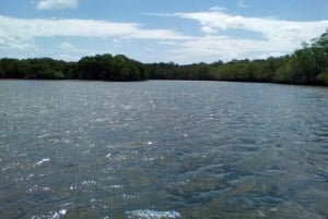 Tamarindo: Boat Safari at Las Baulas National Park