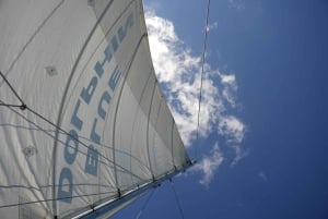 Tamarindo: Excursión en Catamarán Todo Incluido