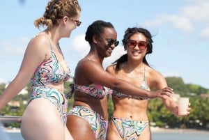 タマリンド：オールインクルーシブのカタマラン船セーリングツアー