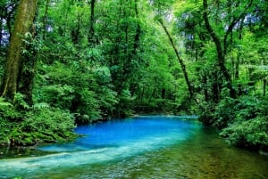 Тамариндо: река Селеста и водопад Льянос-де-Кортес