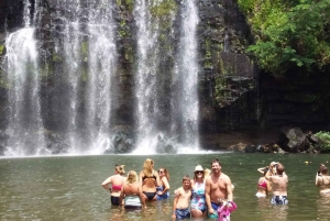 Tamarindo: Celeste River and Llanos de Cortez Waterfall