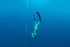 Tamarindo: Discover Freediving Experience for Beginners