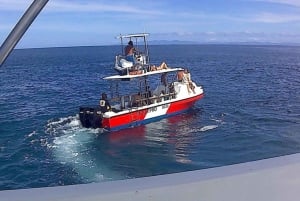 Tamarindo: Discover Scuba Diving at Catalina Islands