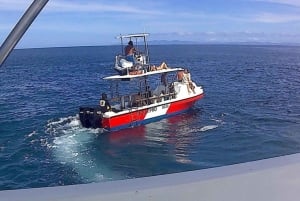 Tamarindo: Oppdag dykking ved Catalinaøyene